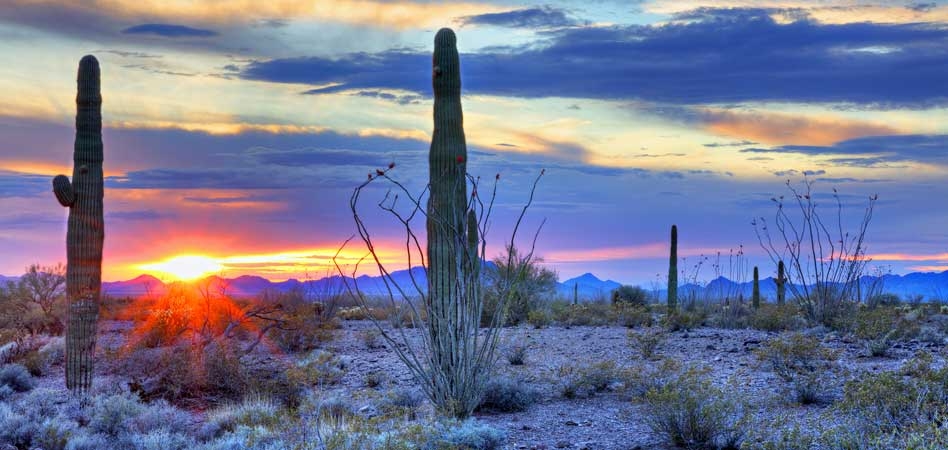Green Valley AZ Homes for Sale